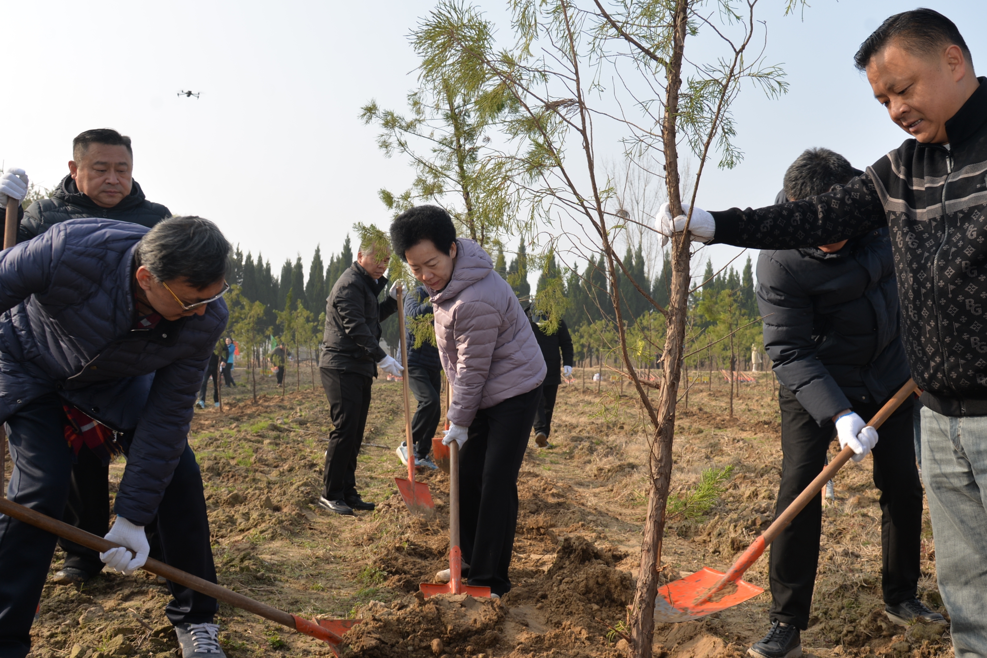 天桥区政协组织开展“政协林”义务植树活动
