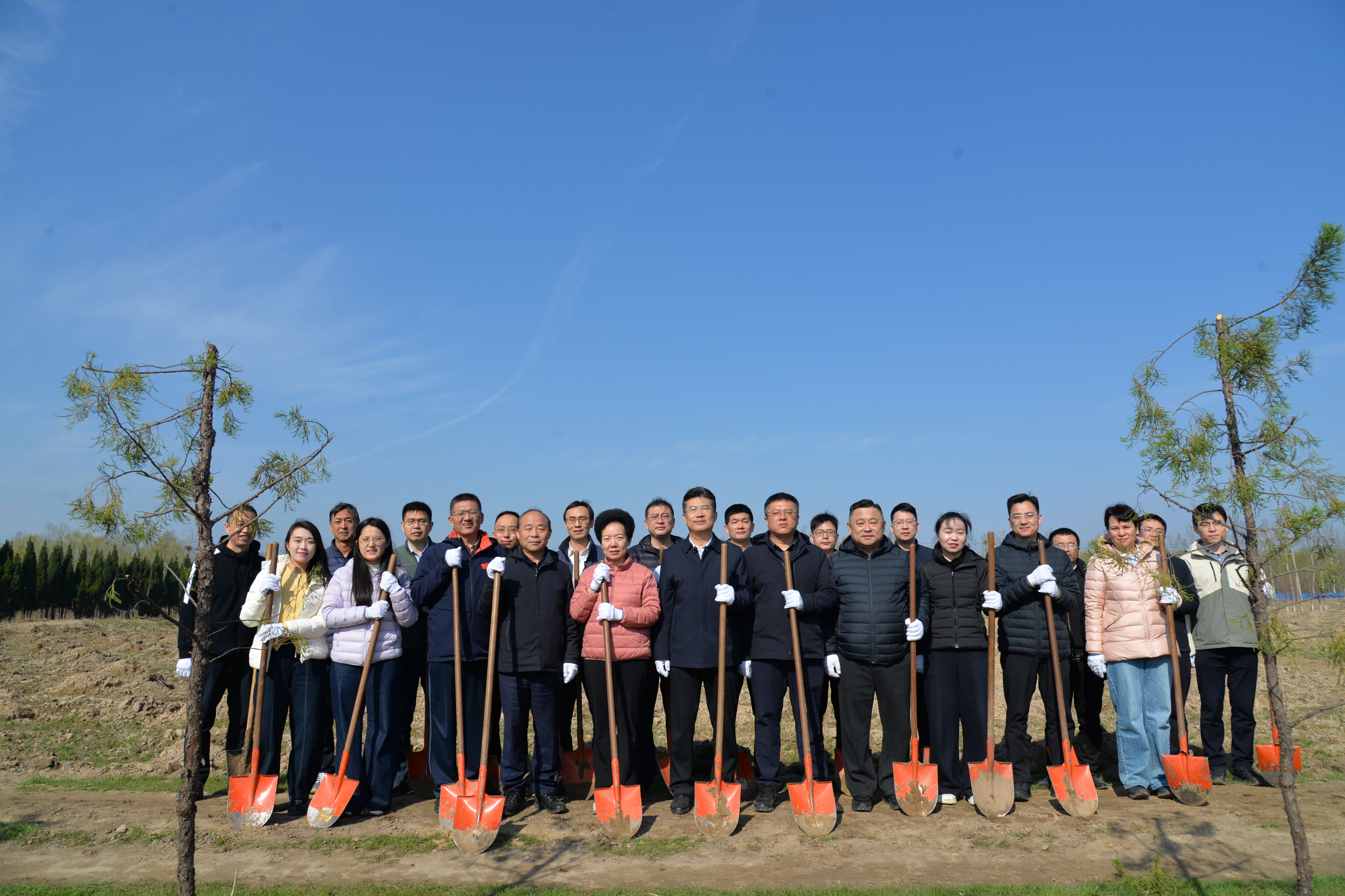 省市政协研究室联合天桥区政协开展义务植树暨红色教育活动