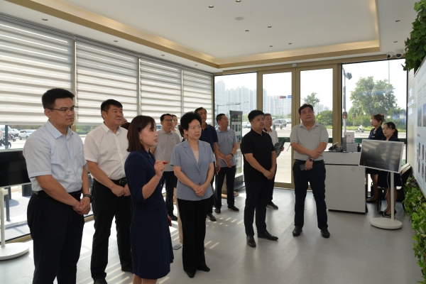 区政协调研全区城市更新工作